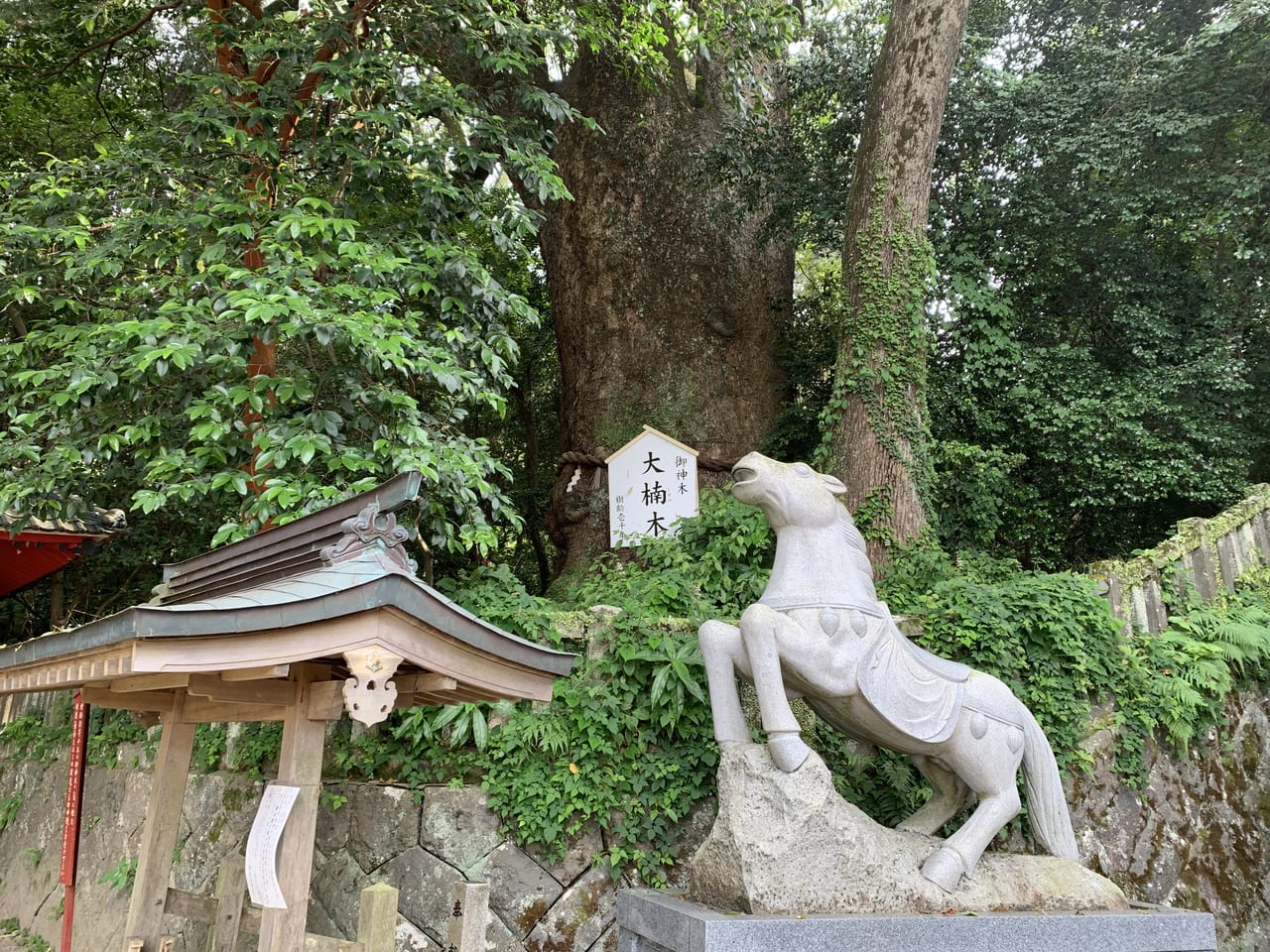 別府市 別府のパワースポット 別府温泉の総鎮守 八幡朝見神社へ行ってみませんか 号外net 別府市 由布市 日田市