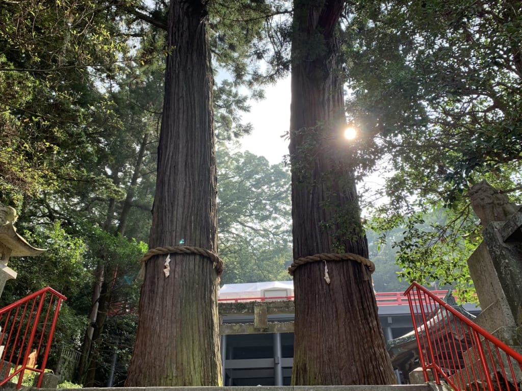 別府朝見神社6